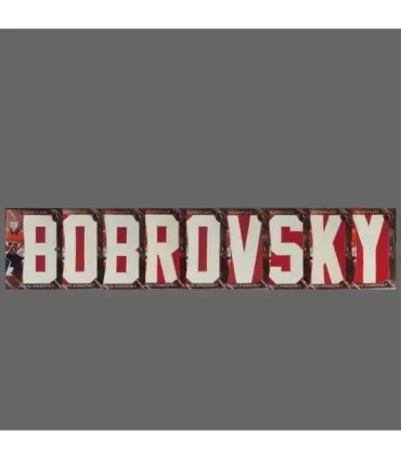 2023/24 AMPIR Jersey Hockey #NP01 Segrei Bobrovsky (Florida Panthers) SET (9 cards) GK | AMPIR Trading Cards