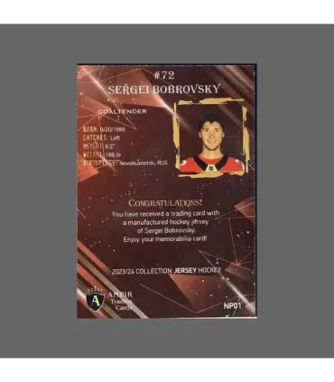 2023/24 AMPIR Jersey Hockey #NP01 Segrei Bobrovsky (Florida Panthers) SET (9 cards) GK | AMPIR Trading Cards