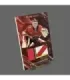 2023/24 AMPIR Jersey Hockey #TL01 Sergei Bobrovsky (Florida Panthers) SET (8 cards) GK | AMPIR Trading Cards