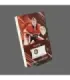 2023/24 AMPIR Jersey Hockey #BT01 Segrei Bobrovsky (Florida Panthers) 2/2 GK | AMPIR Trading Cards