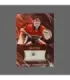 2023/24 AMPIR Jersey Hockey #BT01 Segrei Bobrovsky (Florida Panthers) 2/2 GK | AMPIR Trading Cards
