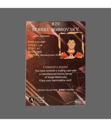 2023/24 AMPIR Jersey Hockey #BT01 Segrei Bobrovsky (Florida Panthers) 2/2 GK | AMPIR Trading Cards