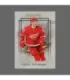 2020/21 AMPIR Russian Star #RC01-1 Evgeny Svechnikov (Detroit Red Wings) RC | AMPIR Trading Cards