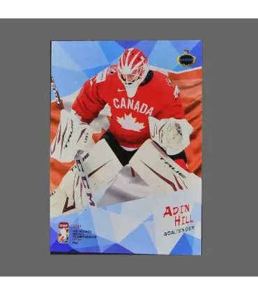 2021 AMPIR IIHF World Championship #CAN15 Adin Hill (Team Canada) GK | AMPIR Trading Cards