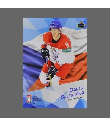 2021 AMPIR IIHF World Championship #CZE03 David Sklenicka (Team Czech Republic)  | AMPIR Trading Cards