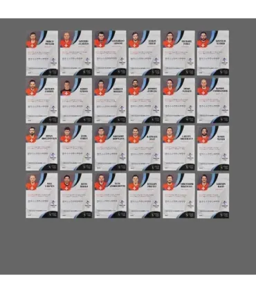 2022 AMPIR Olympic Games Hockey   Team Switzerland SET (24 cards) | AMPIR Trading Cards