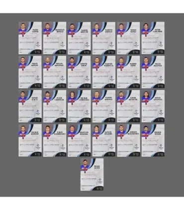 2022 AMPIR Olympic Games Hockey   Team Slovakia SET (25 cards) | AMPIR Trading Cards