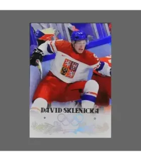 2022 AMPIR Olympic Games Hockey #CZE09 David Sklenicka (Team Czech Republic)  | AMPIR Trading Cards