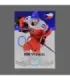 2022 AMPIR Olympic Games Hockey #CZE13 Jiri Smejkal (Team Czech Republic)  | AMPIR Trading Cards