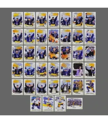 2022 AMPIR EVZ Champions    SET (39 cards) | AMPIR Trading Cards