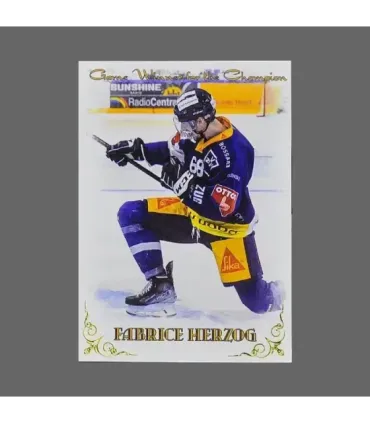 2022 AMPIR EVZ Champions #35 Fabrice Herzog  (Game Winner for the Champion) | AMPIR Trading Cards