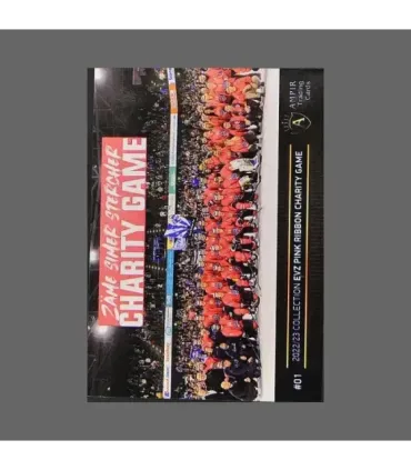2022/23 AMPIR EVZ Pink Ribbon Charity Game #01 Christian Djoos   | AMPIR Trading Cards