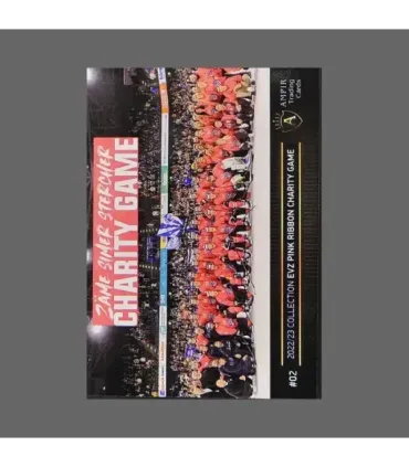 2022/23 AMPIR EVZ Pink Ribbon Charity Game #02 Brian O’Neill   | AMPIR Trading Cards