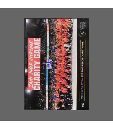 2022/23 AMPIR EVZ Pink Ribbon Charity Game #03 Yannick Zehnder   | AMPIR Trading Cards