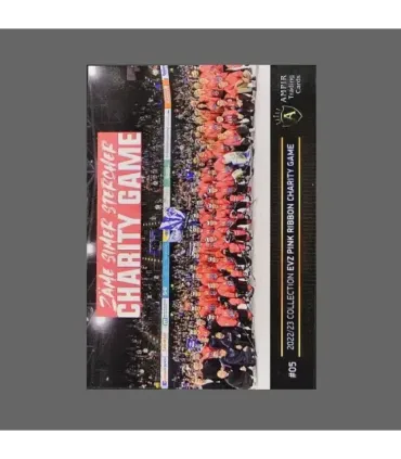 2022/23 AMPIR EVZ Pink Ribbon Charity Game #05 Gregory Hofmann   | AMPIR Trading Cards