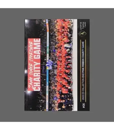 2022/23 AMPIR EVZ Pink Ribbon Charity Game #06 Niklas Hansson   | AMPIR Trading Cards