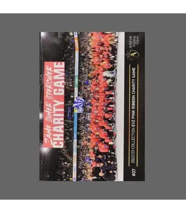 2022/23 AMPIR EVZ Pink Ribbon Charity Game #07 Luca Andrea De Nisco   | AMPIR Trading Cards