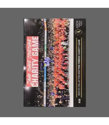 2022/23 AMPIR EVZ Pink Ribbon Charity Game #08 Dario Allenspach   | AMPIR Trading Cards