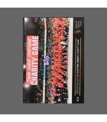 2022/23 AMPIR EVZ Pink Ribbon Charity Game #10 Peter Cehlarik   | AMPIR Trading Cards