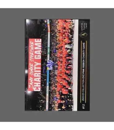 2022/23 AMPIR EVZ Pink Ribbon Charity Game #12 Jan Kovar   | AMPIR Trading Cards