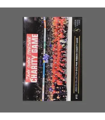 2022/23 AMPIR EVZ Pink Ribbon Charity Game #15 Carl Klingberg   | AMPIR Trading Cards