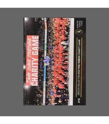 2022/23 AMPIR EVZ Pink Ribbon Charity Game #16 Luca Hollenstein  GK | AMPIR Trading Cards