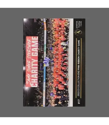 2022/23 AMPIR EVZ Pink Ribbon Charity Game #17 Dario Simion   | AMPIR Trading Cards