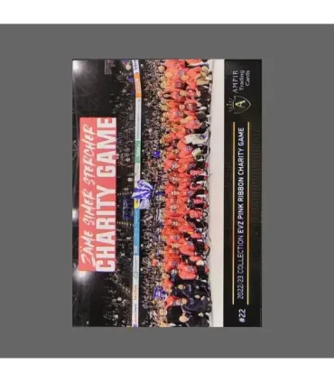 2022/23 AMPIR EVZ Pink Ribbon Charity Game #22 Dominik Schlumpf    | AMPIR Trading Cards