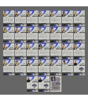 2022/23 AMPIR EVZ    SET (31 cards) | AMPIR Trading Cards