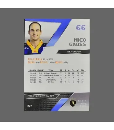 2022/23 AMPIR EVZ #07 Nico Gross   | AMPIR Trading Cards