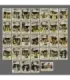 2023 Vegas Golden Knights Champions SET (32 cards) | AMPIR Trading Cards