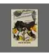 2023 Vegas Golden Knights Champions #VEG09 Jack Eichel   | AMPIR Trading Cards