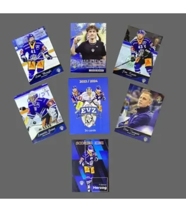 2023/24 AMPIR EVZ SET (34 cards)   | AMPIR Trading Cards