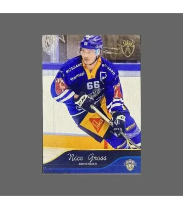 2023/24 AMPIR EVZ #EVZ-24 Nico Gross   | AMPIR Trading Cards