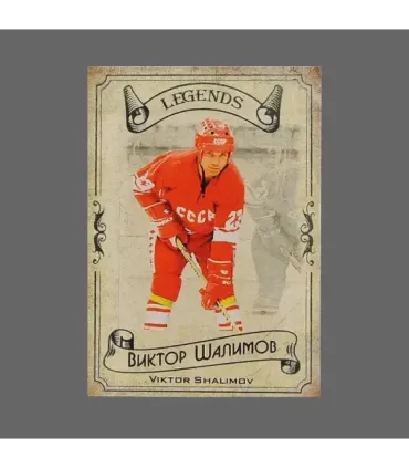 2020 AMPIR Hockey Legends (Serie #1) #13 Viktor Shalimov | AMPIR Trading Cards